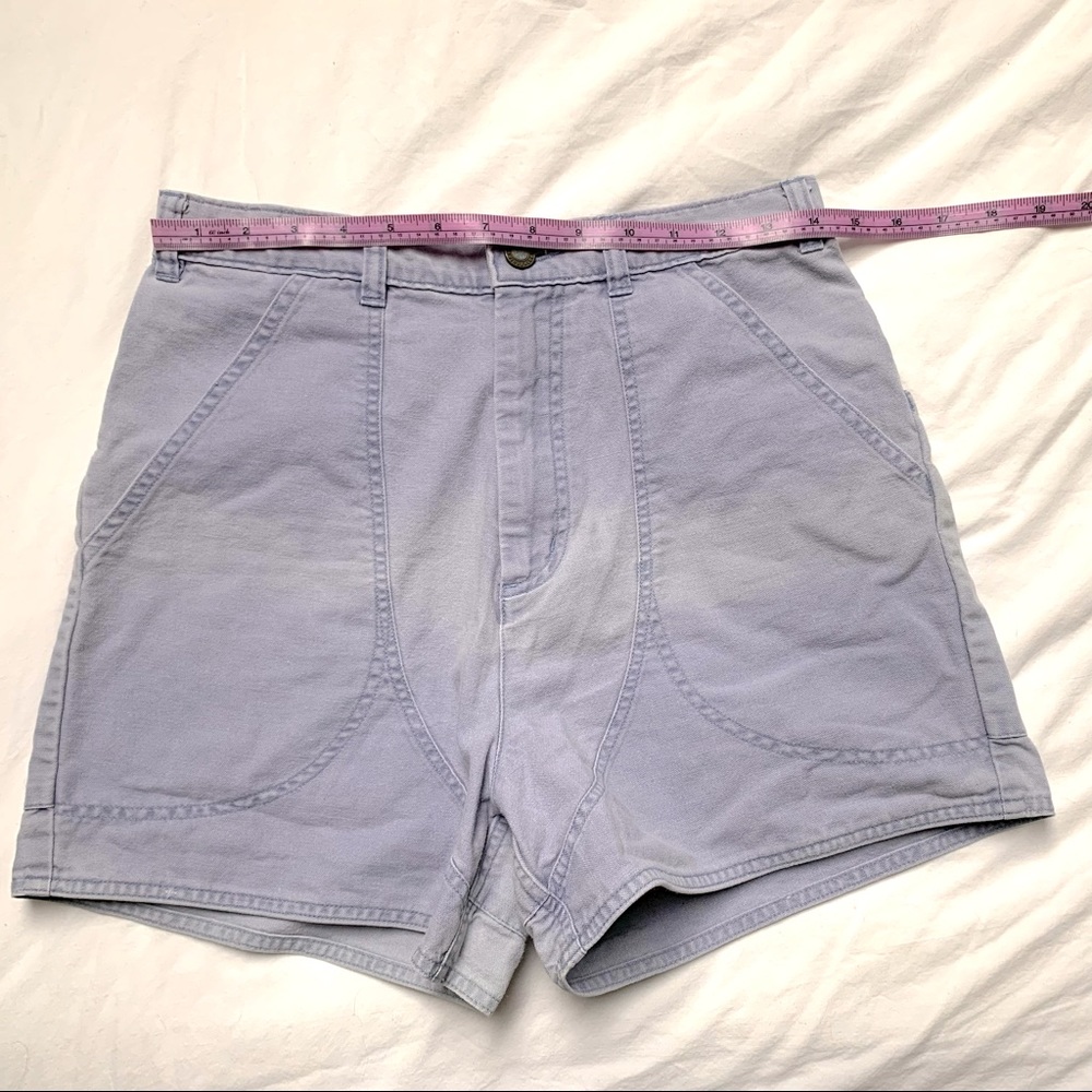 Lilac vintage Patagonia standup shorts.